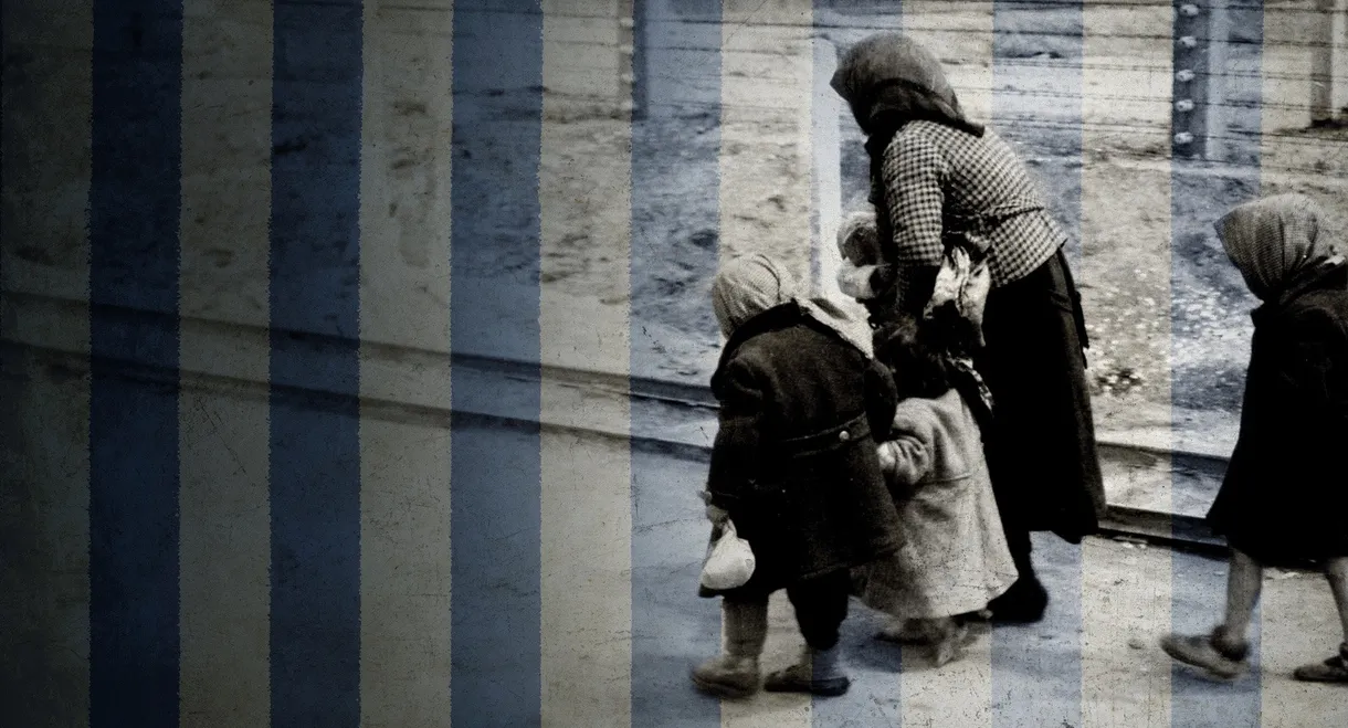Auschwitz - One Day
