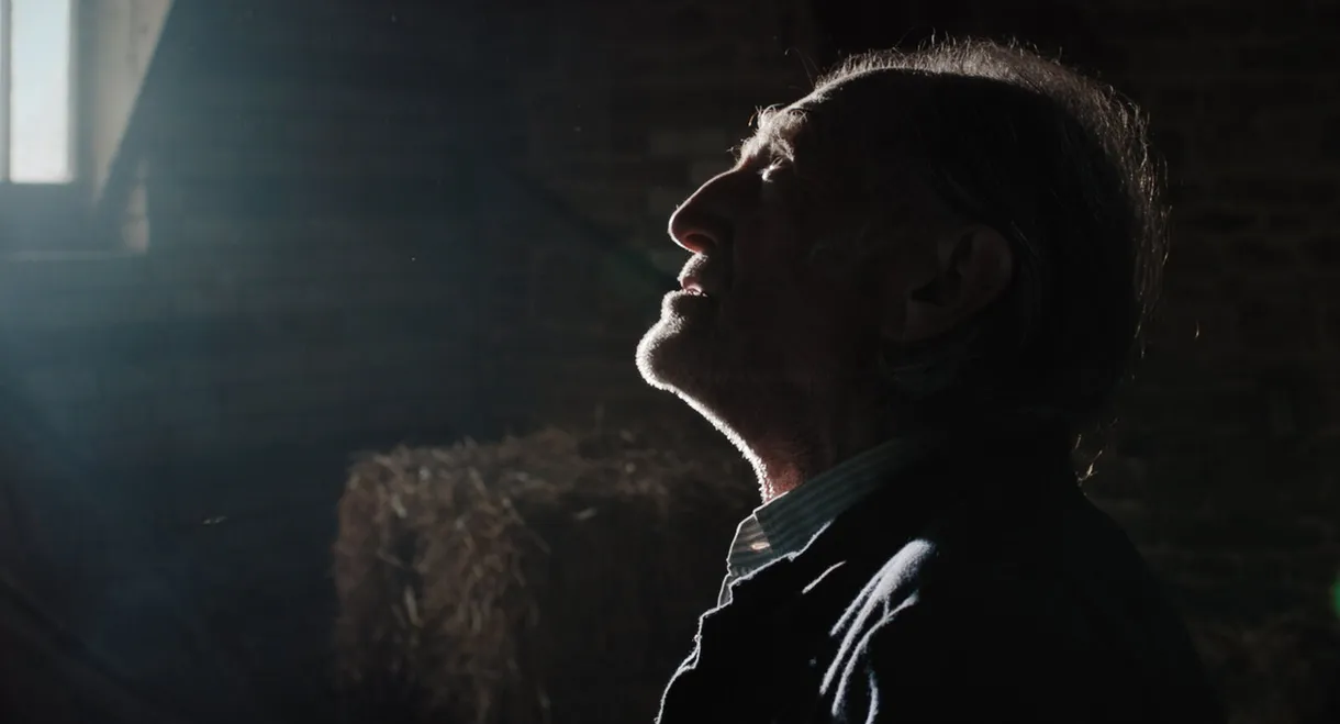 Edmund the Magnificent