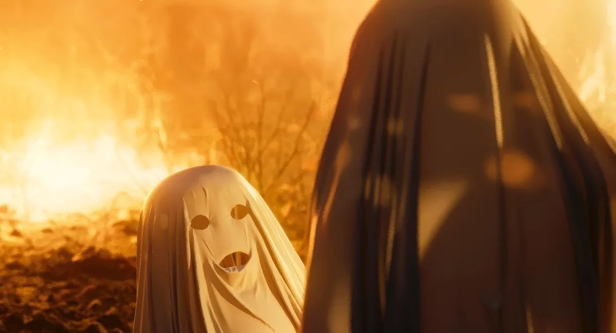 Arguments in Favor of Love