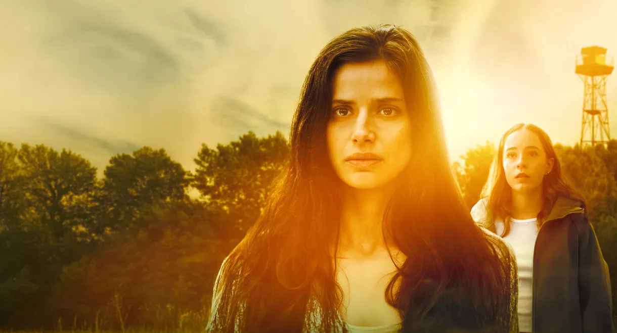 The Night She Disappeared