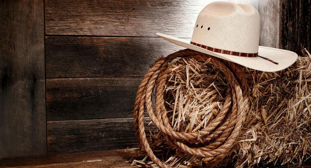 Women of Country Music: Glamour Girls