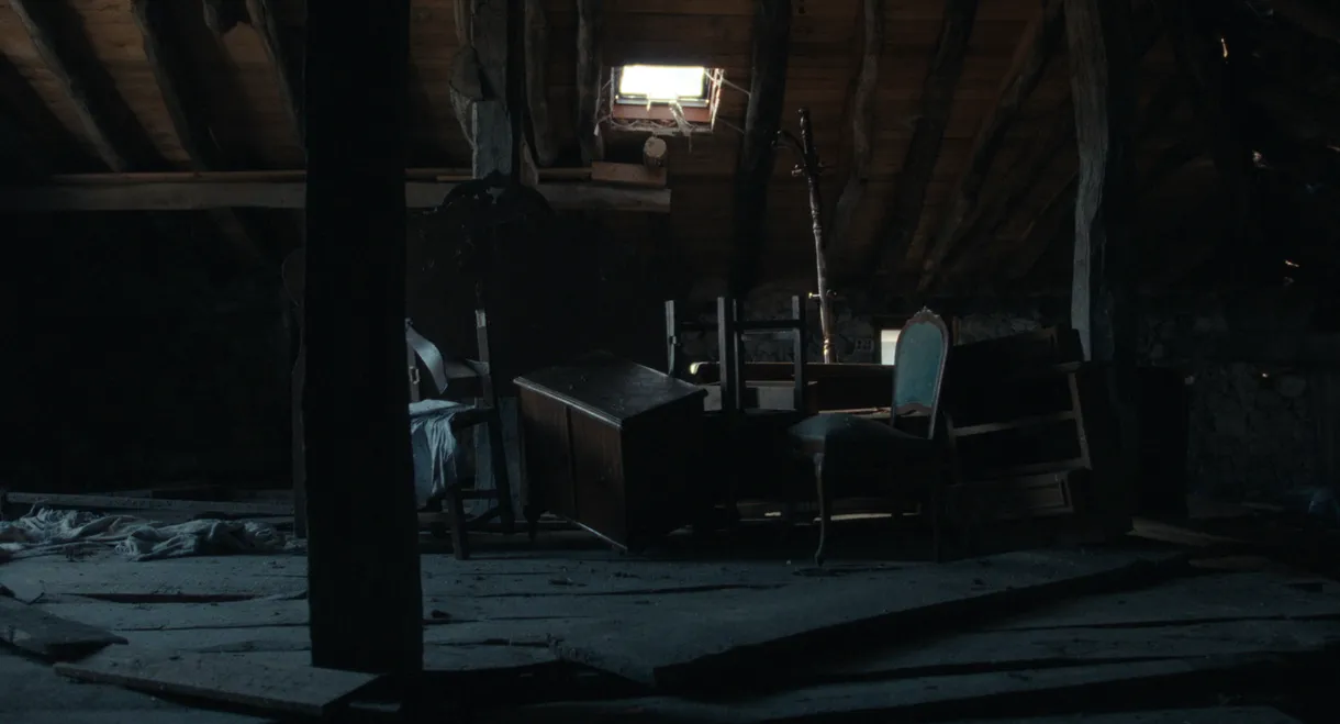 Echoes of silent roosters