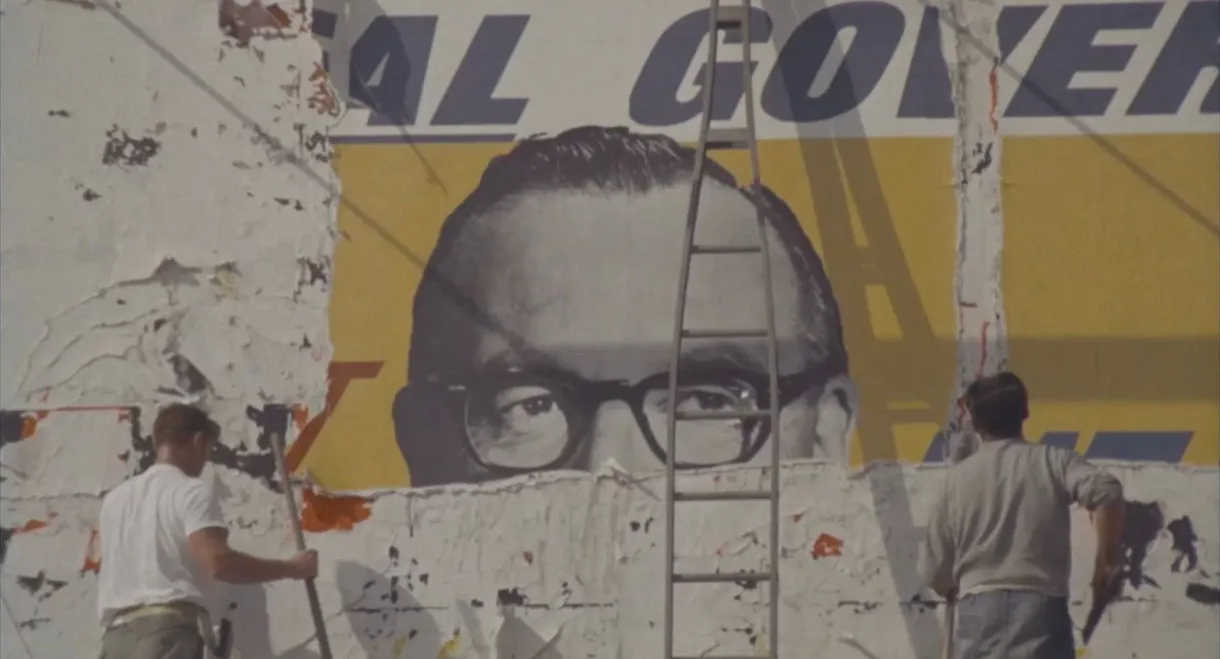 Autumn and Cardboard