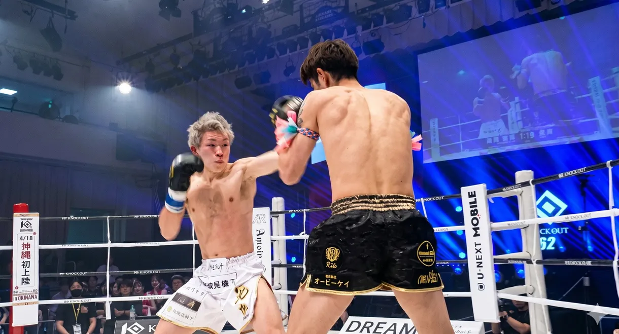 KNOCK OUT 62