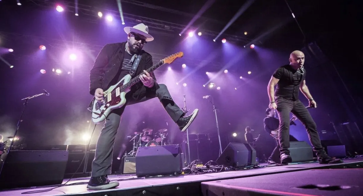 Live: The Reunion World Tour - Live from South Africa