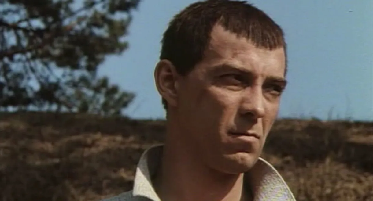 All the Things We Dreamt of for So Long