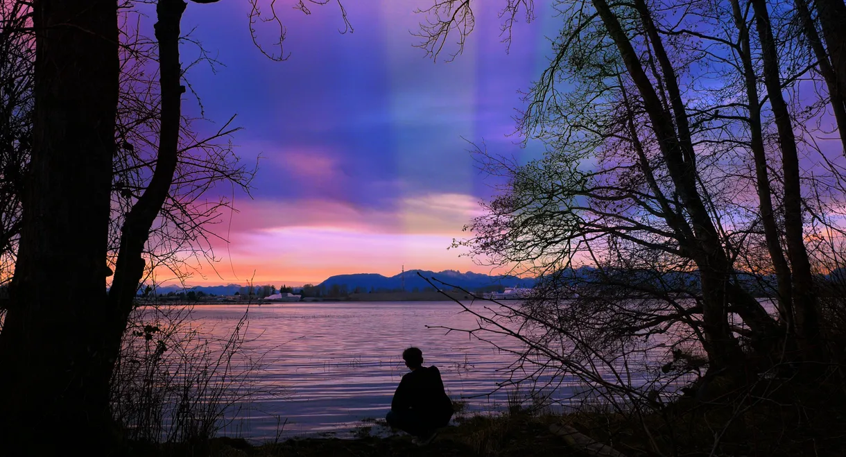 My Fascination With The Butterfly Effect