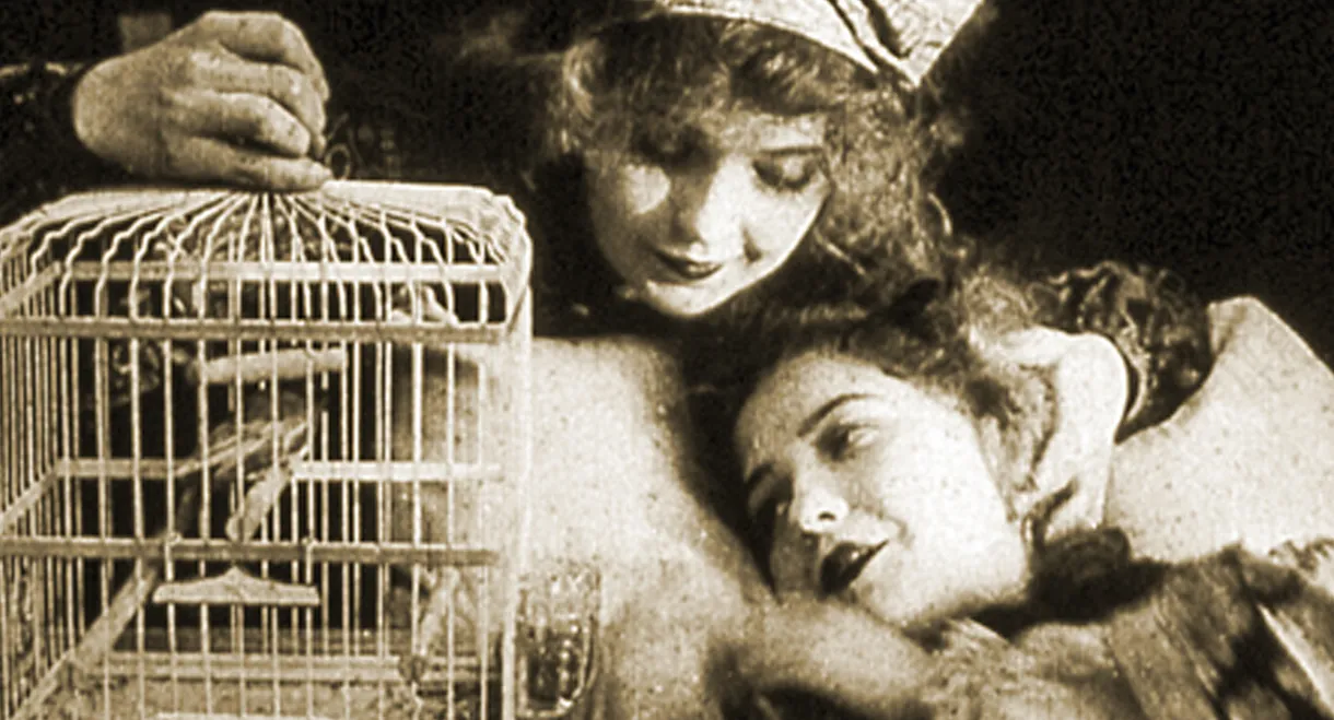 The Lady and the Mouse