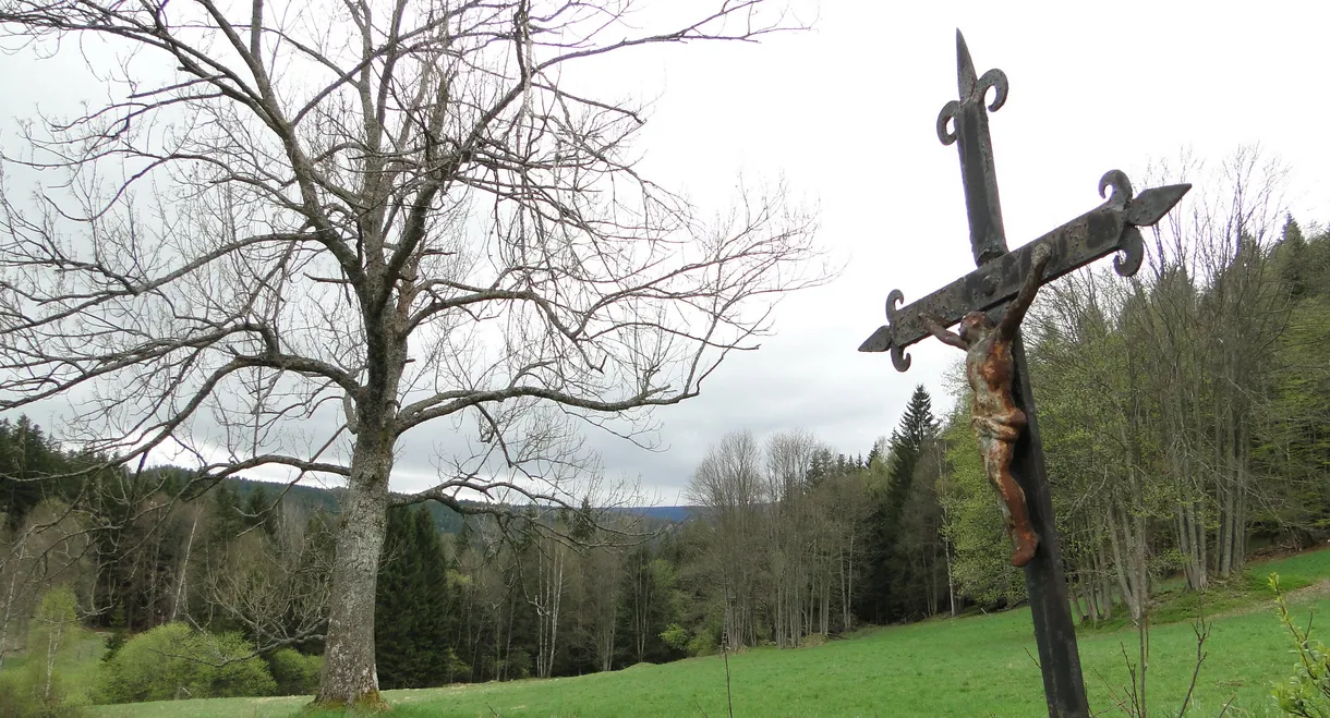 Šumava Vladimíra Horpeniaka