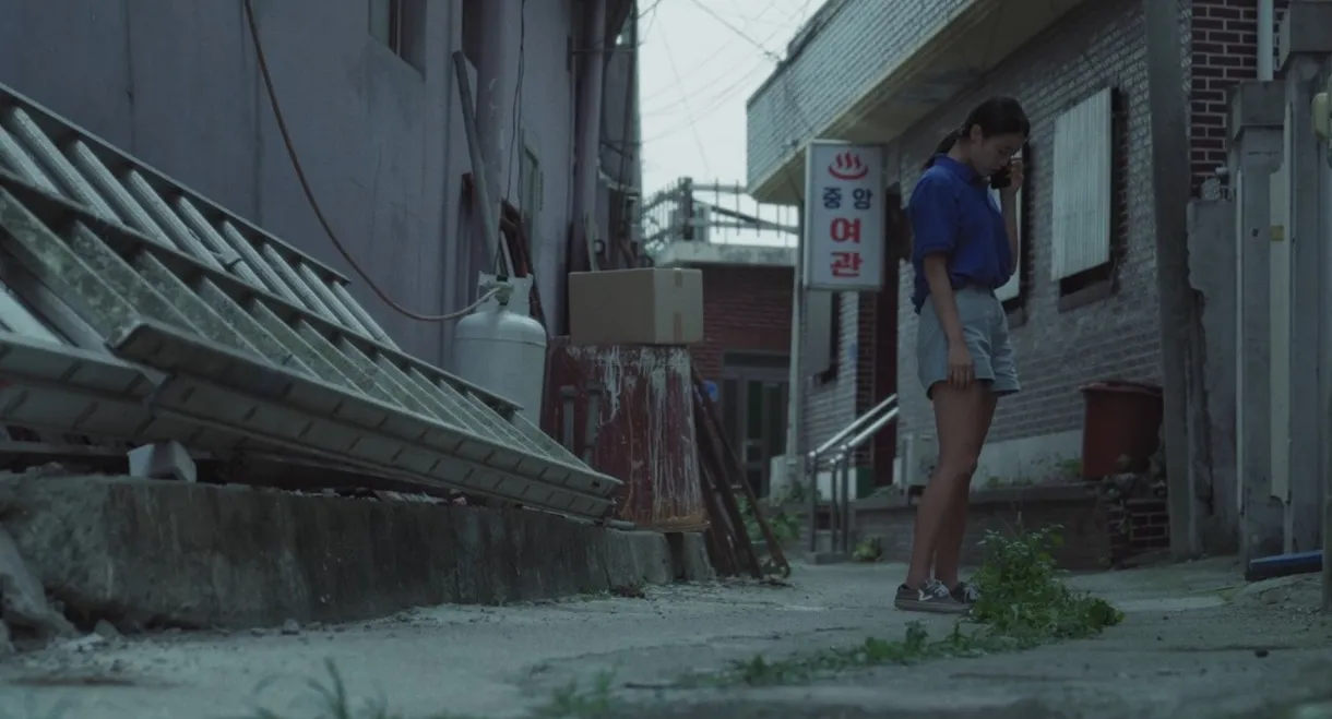 The Summer That Slipped Away