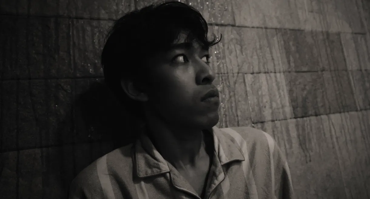 Don't Watch This, After Midnight.