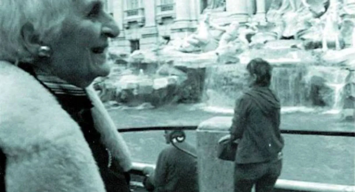 THE INTERPRETER OF BLACK AND WHITE FILMS