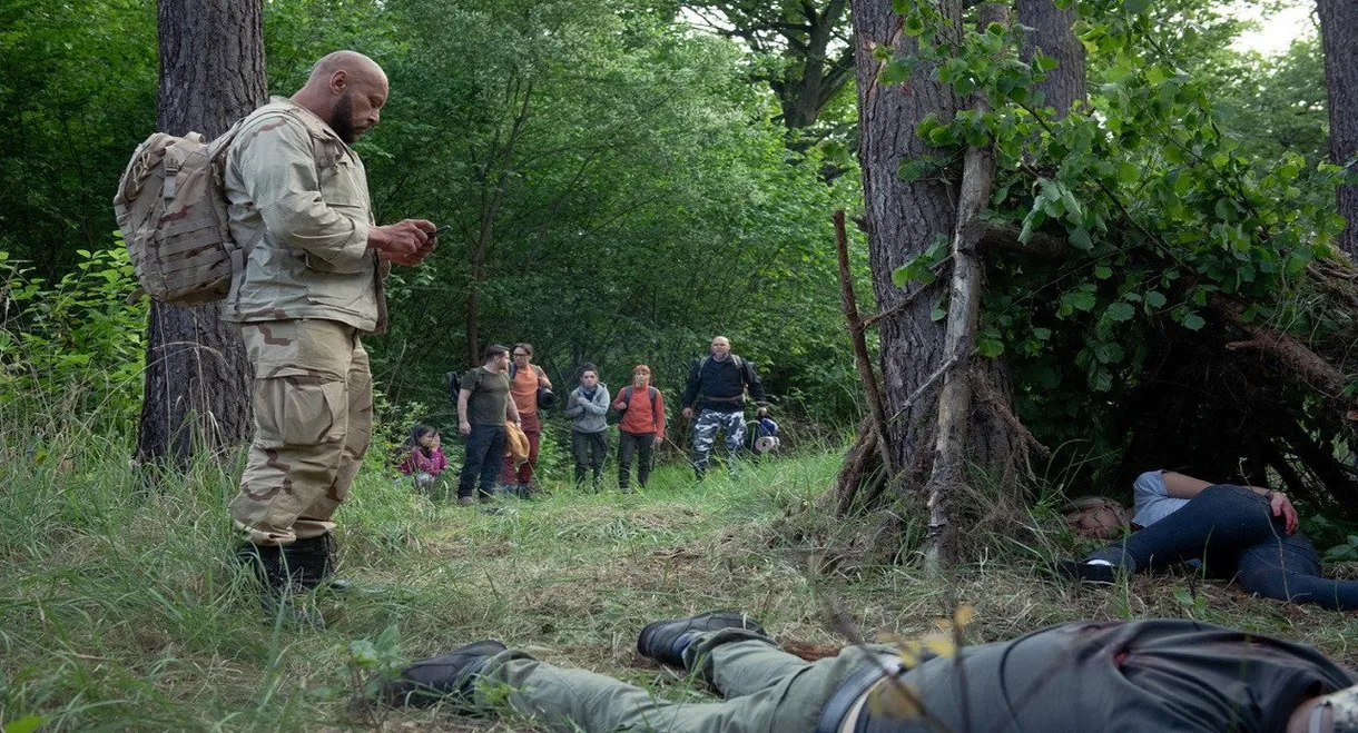 Najpierw ucichły ptaki