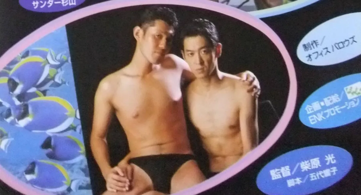 Dolphins return to the sea