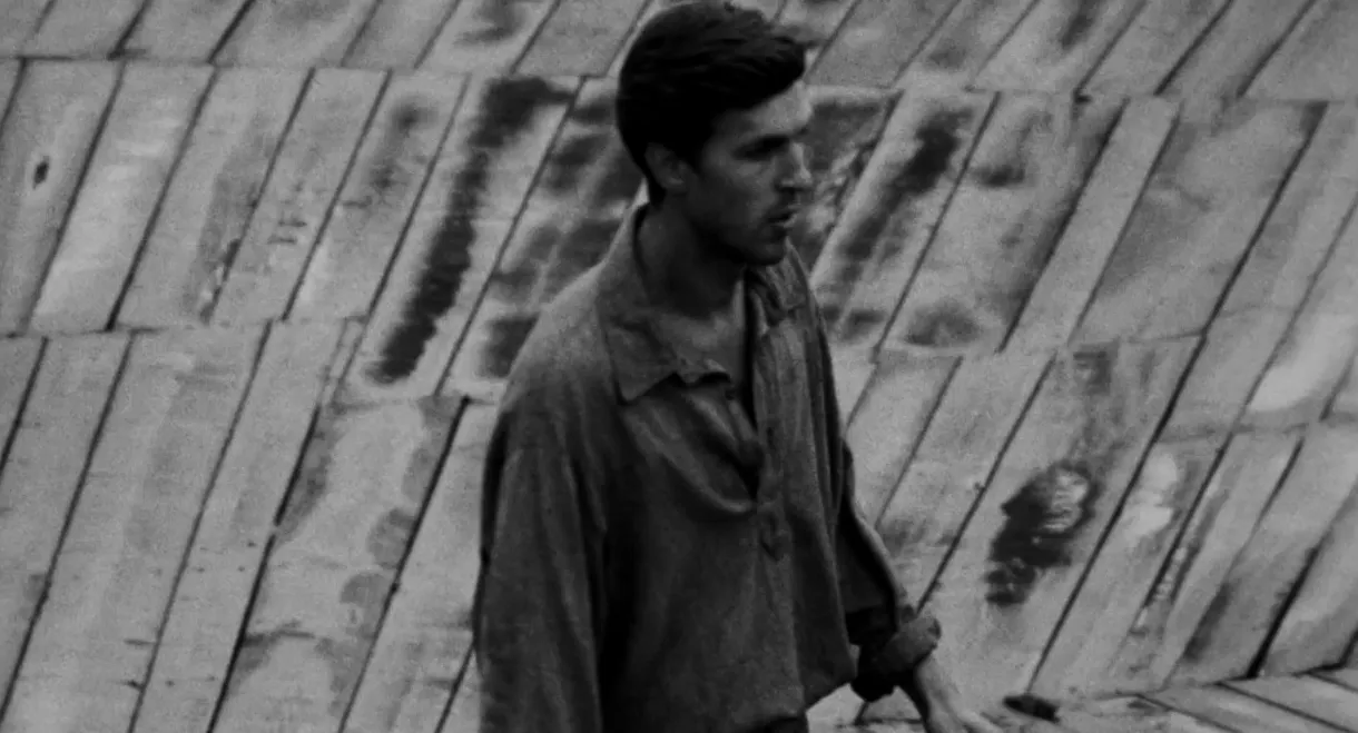 Love Awaits Those Who Return