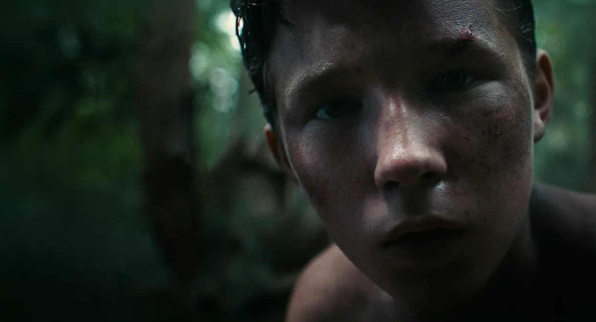 Lost on a Mountain in Maine