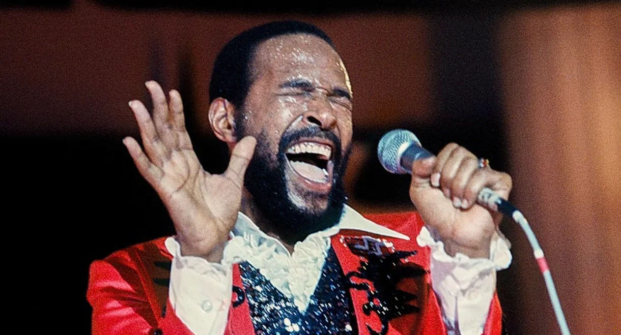 Marvin Gaye - Greatest Hits Live in '76