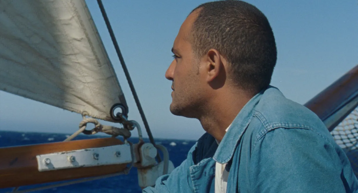 Human Flowers of Flesh