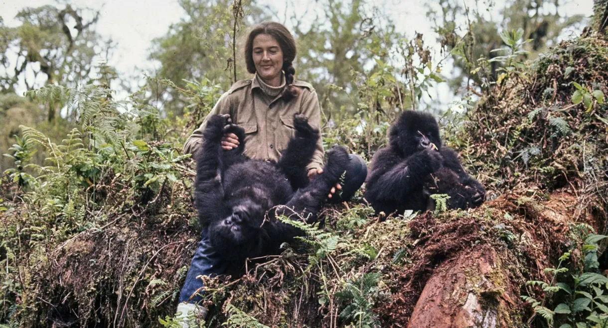 Dian Fossey: Ihr Leben für die Gorillas