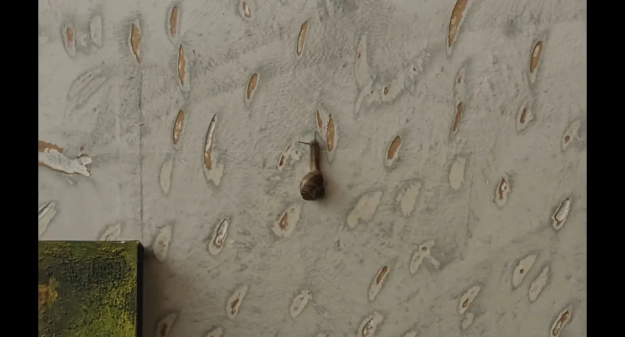 The Mark On The Wall