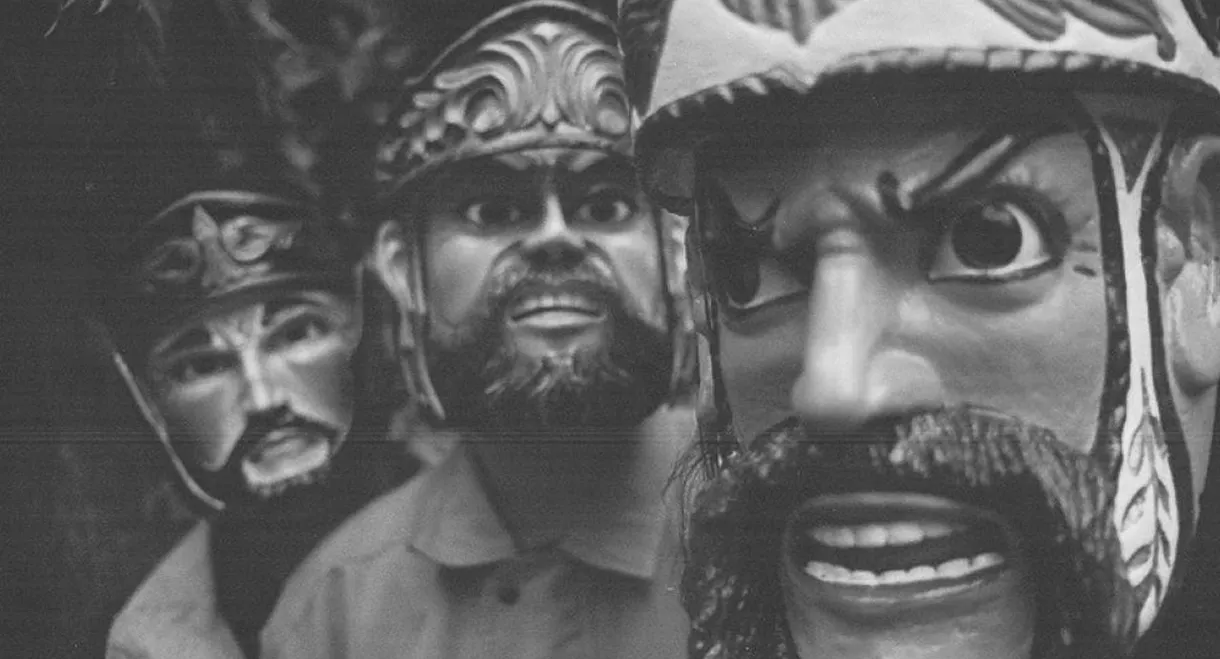 Butterflies Have No Memory