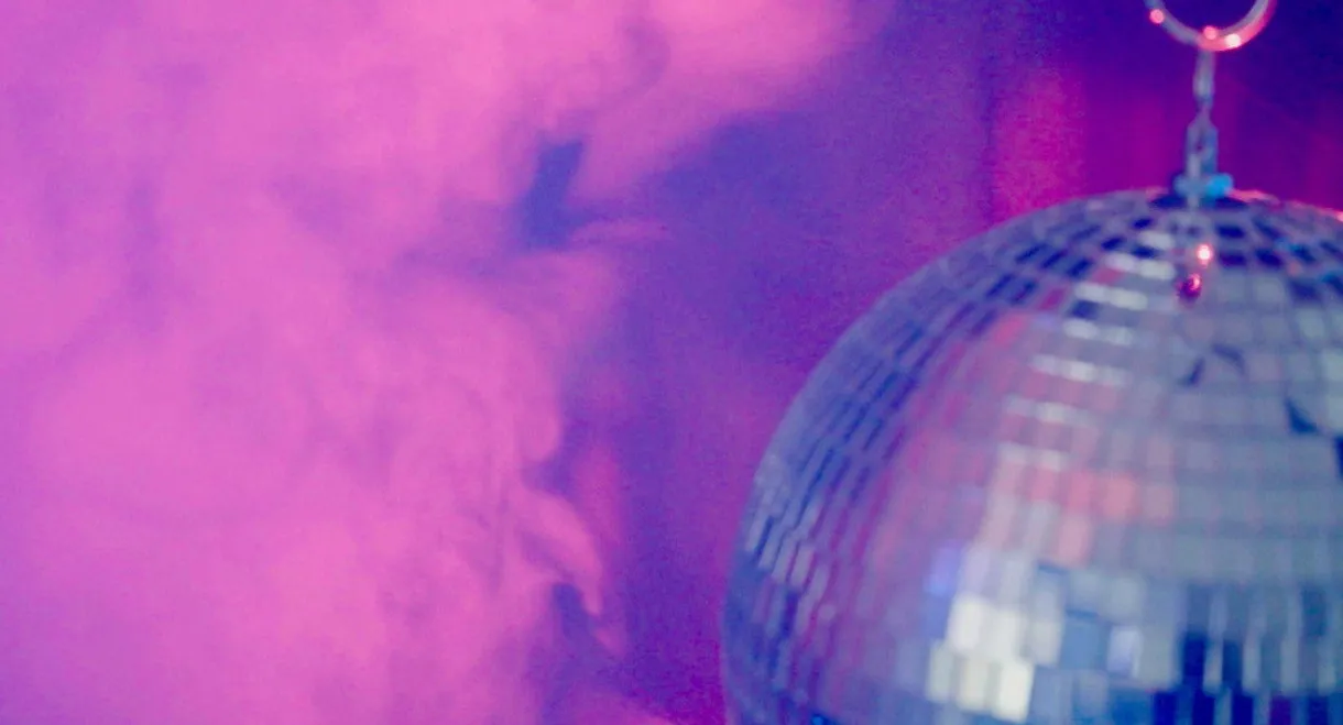 Disco Sex Machine : La naissance du porn chic