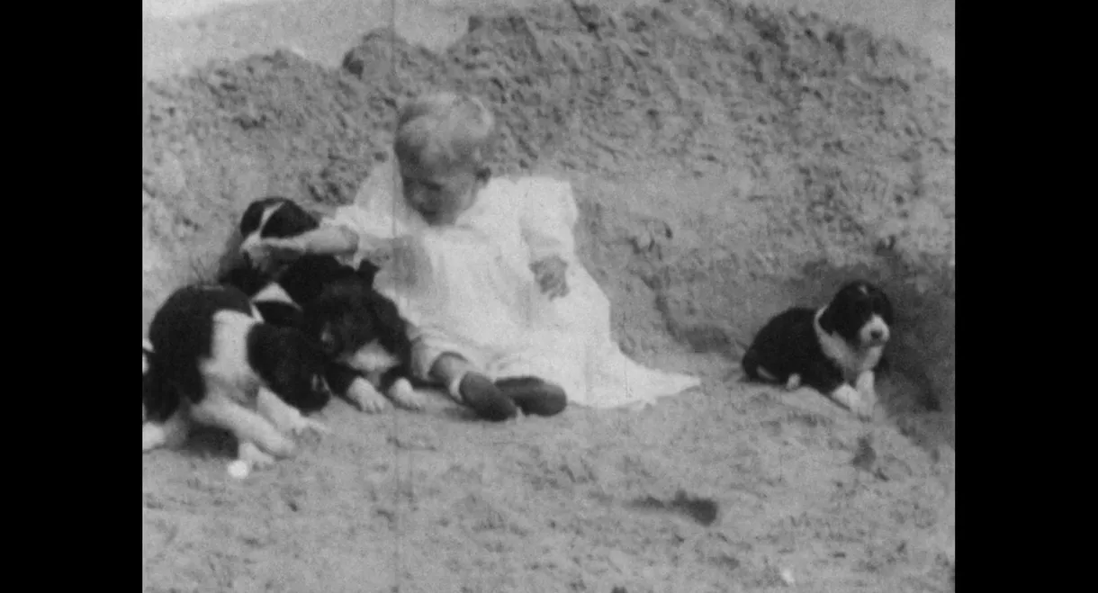 Wonder Dogs! Canine Stars of the Silent Era (1898-1928)
