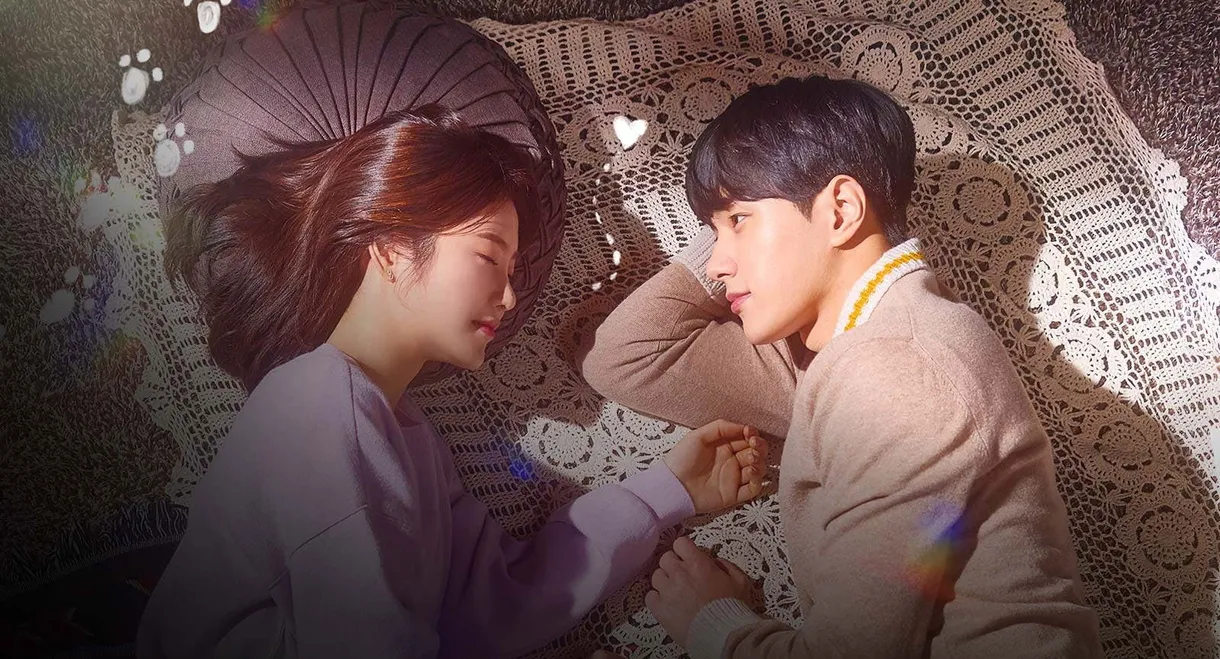 Meow, the Secret Boy