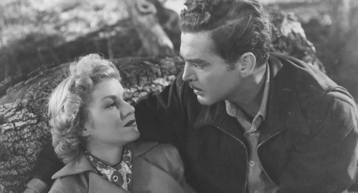 Time Out for Romance