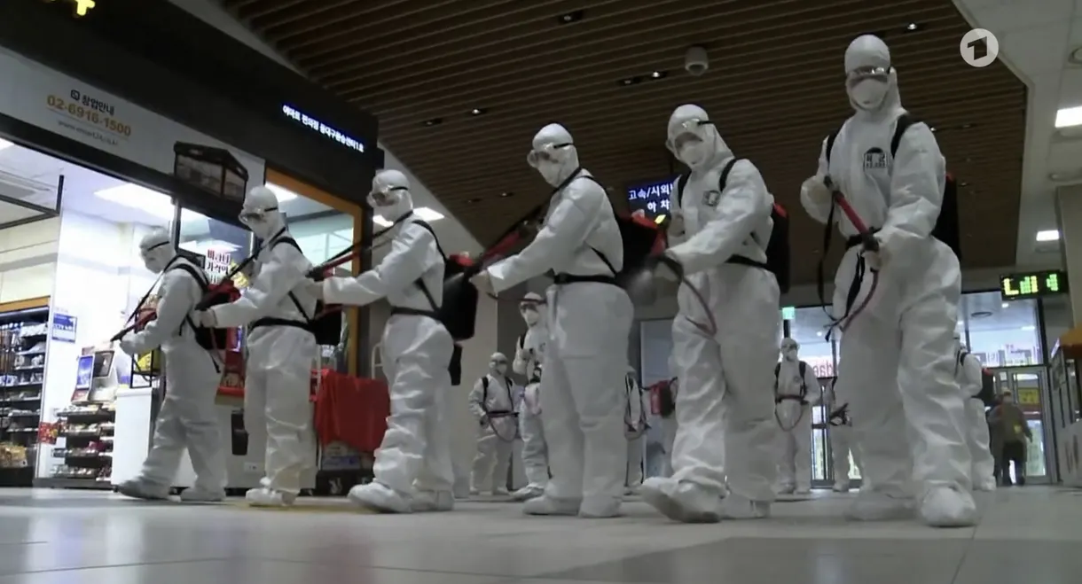 Schockwellen. Nachrichten aus der Pandemie