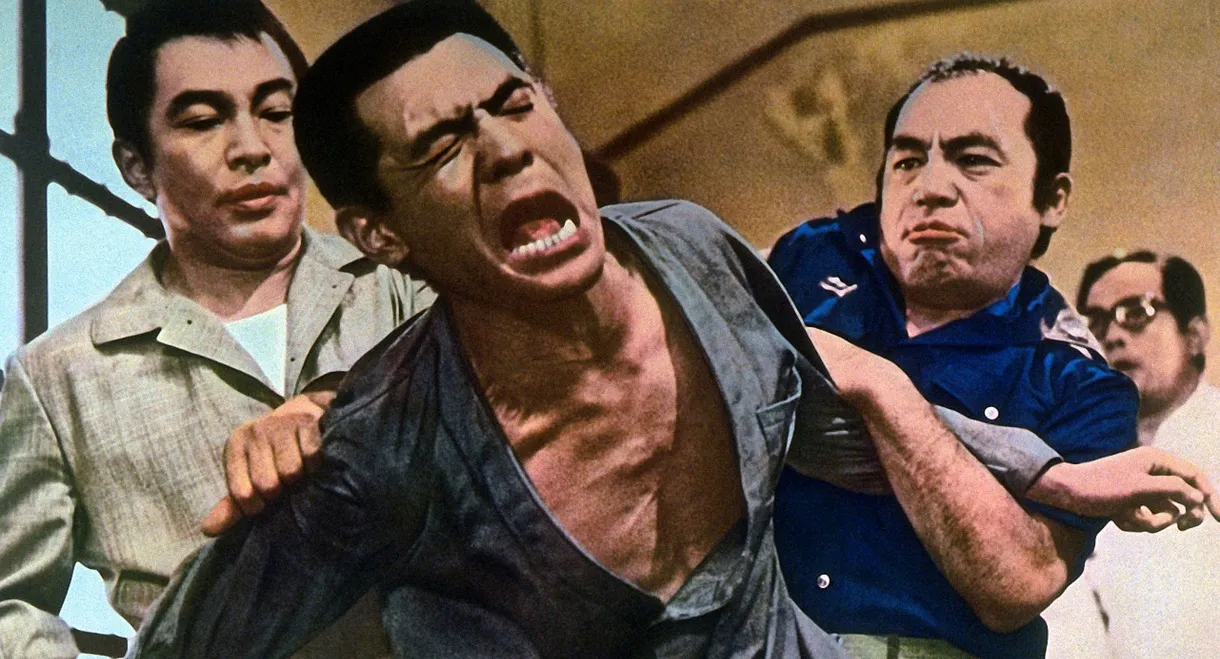 The Viper Brothers Rage Again