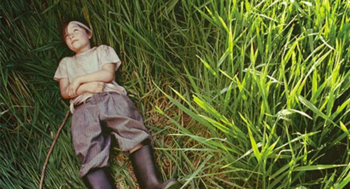 A River in the Woods