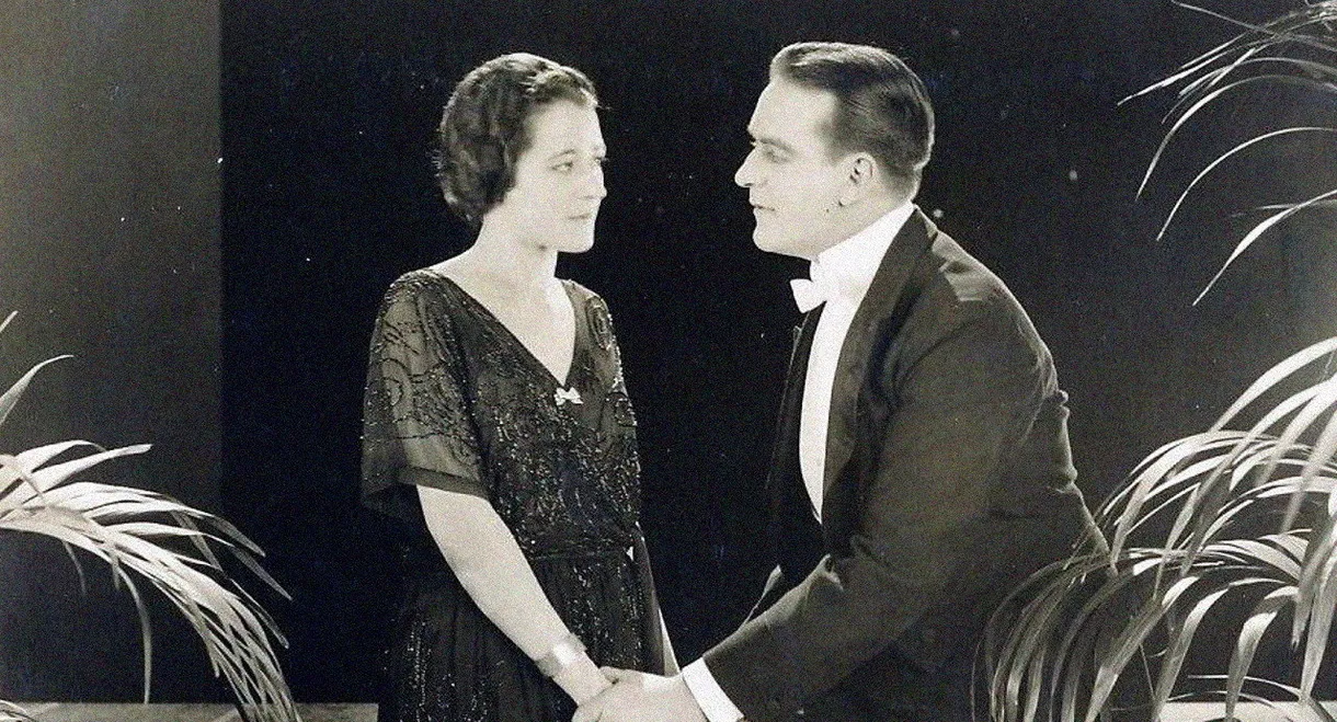 Partners of the Night