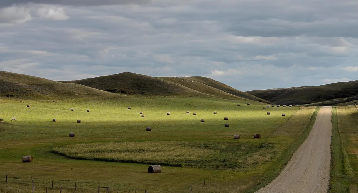 The Musical Republic of Western Canada