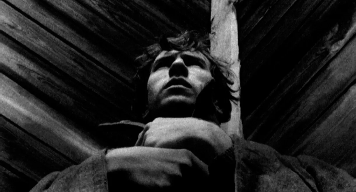 The Lonely Voice of Man