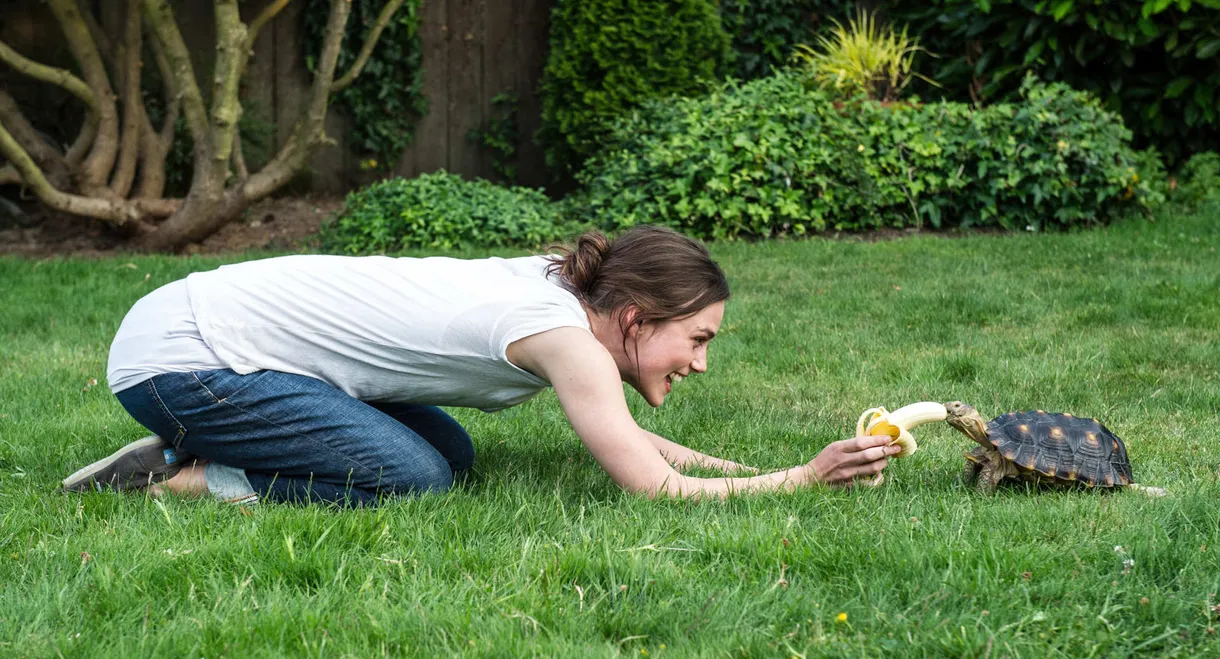 Laggies