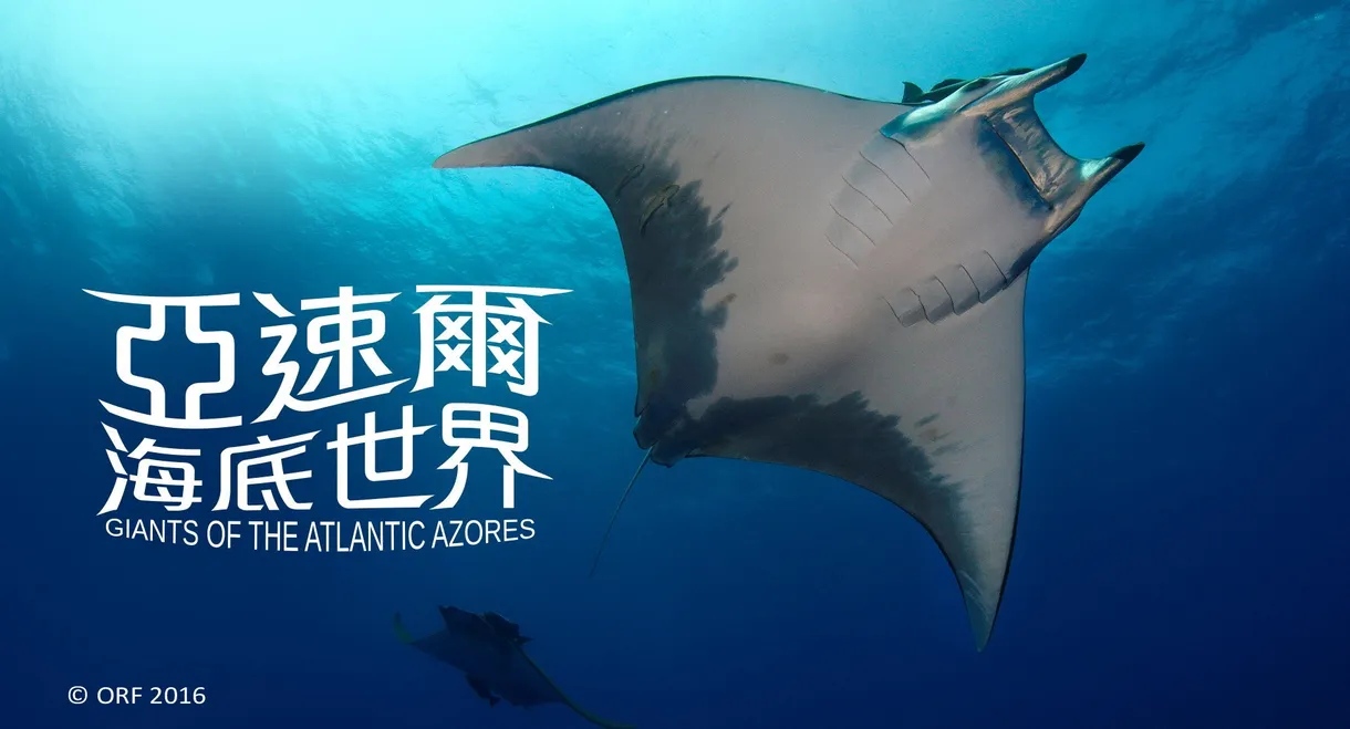 亚速尔海底世界