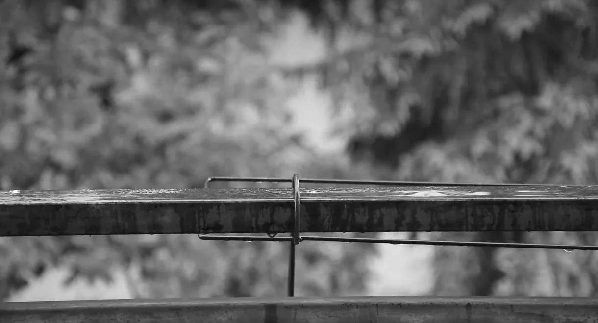 Women's effect on man…