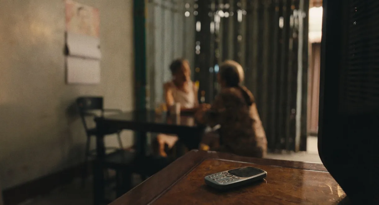 Dust Beneath the Sun