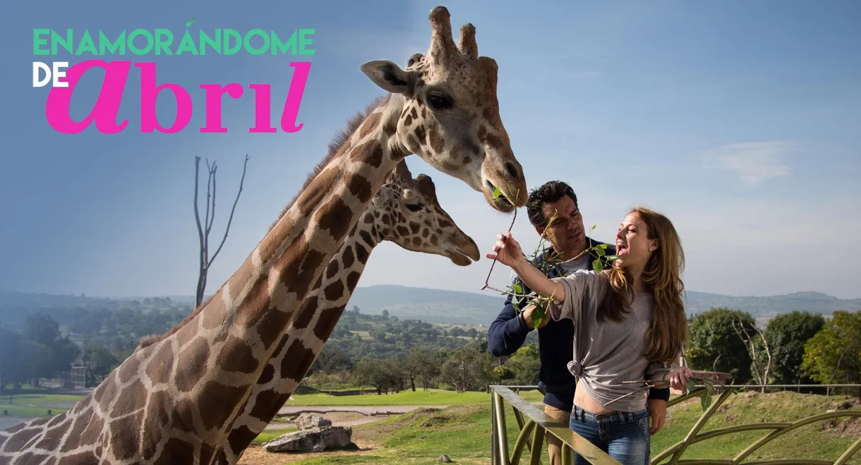 Falling in Love with April