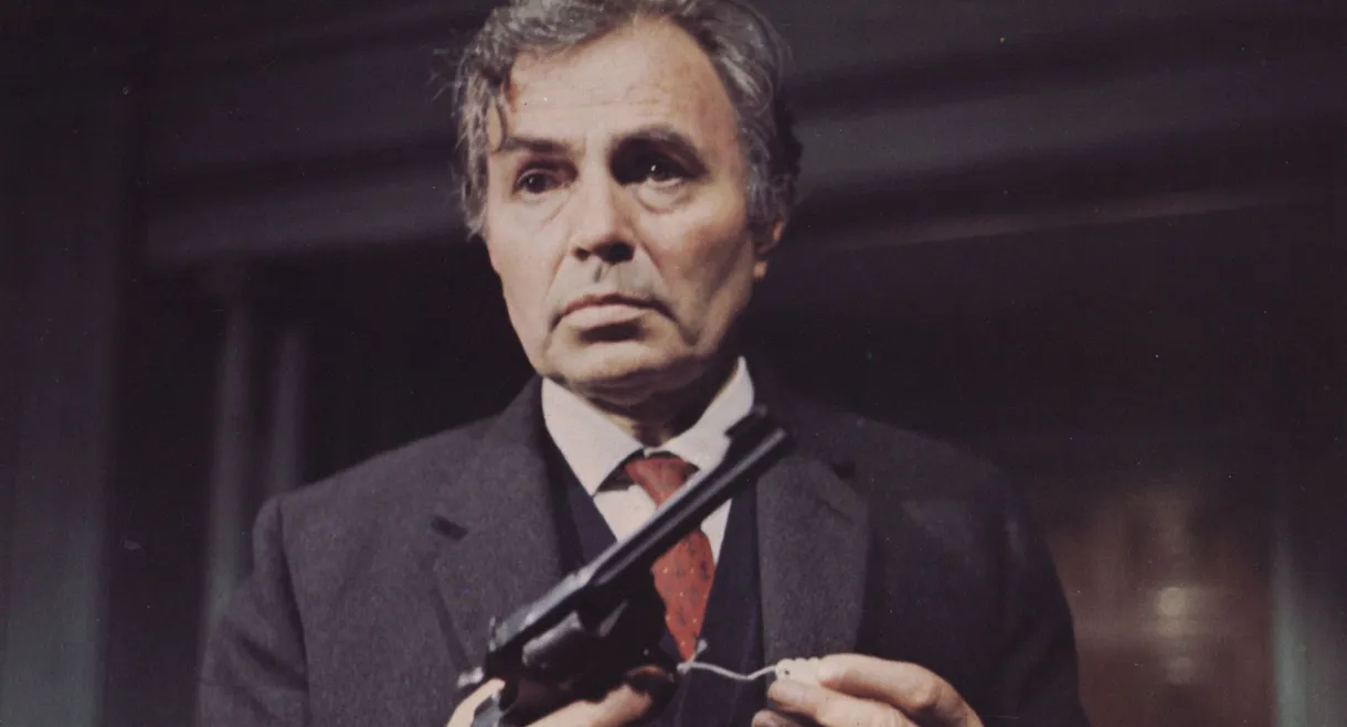 Stranger in the House