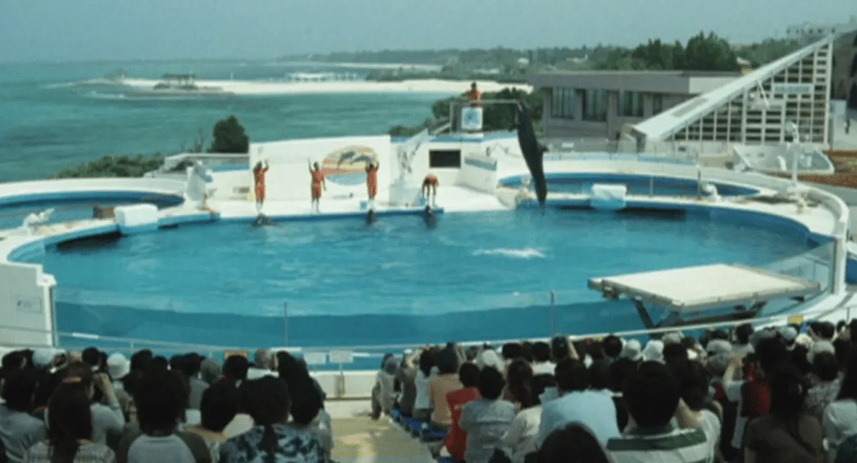 Dolphin Blue: Soar Again, Fuji