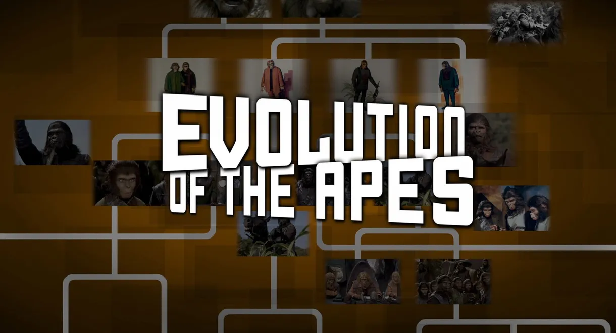 Evolution of the Apes