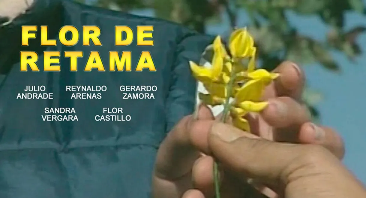 Flor de Retama