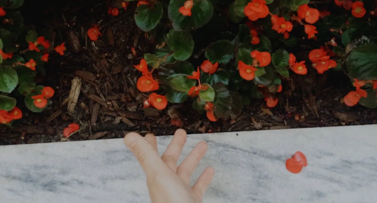 AURORA: Nothing Is Eternal