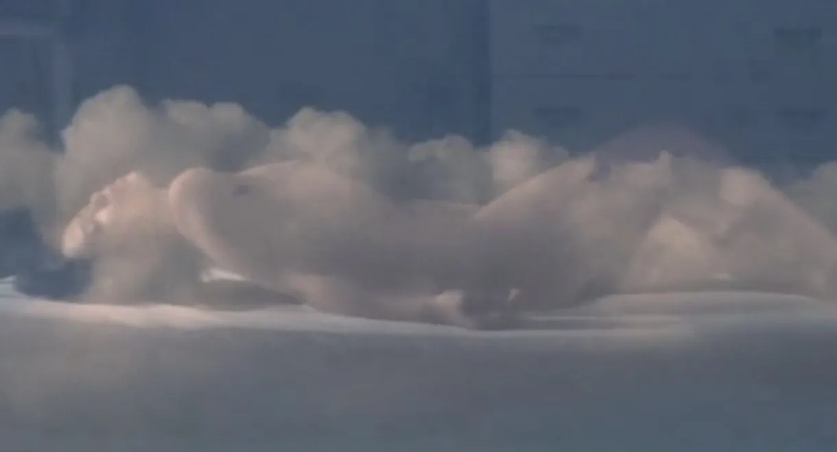 Female Teacher: Secret