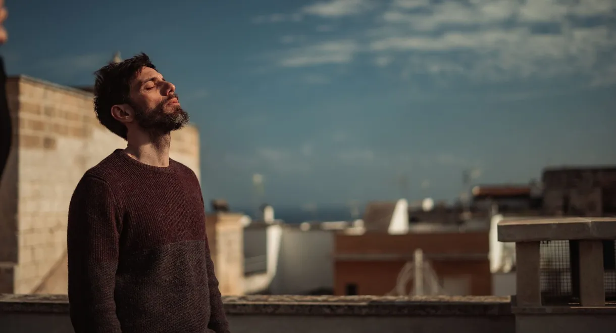 Una vita da sogno - L'abbaglio