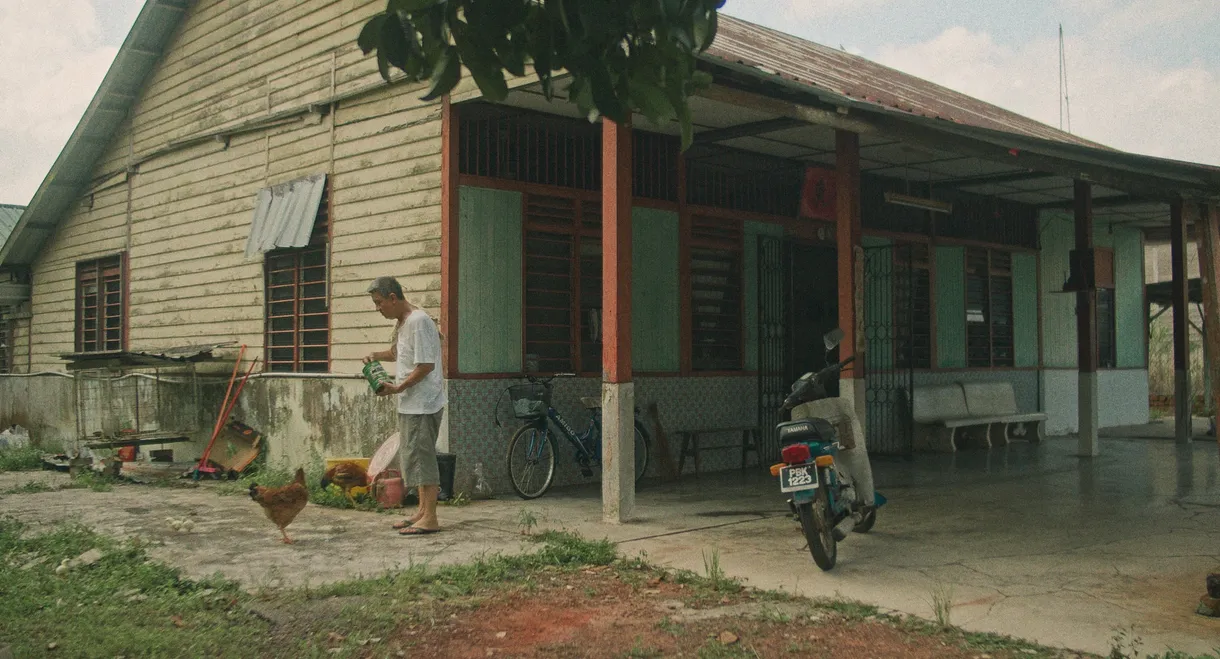 The Manggis in Ah Gong's Hands