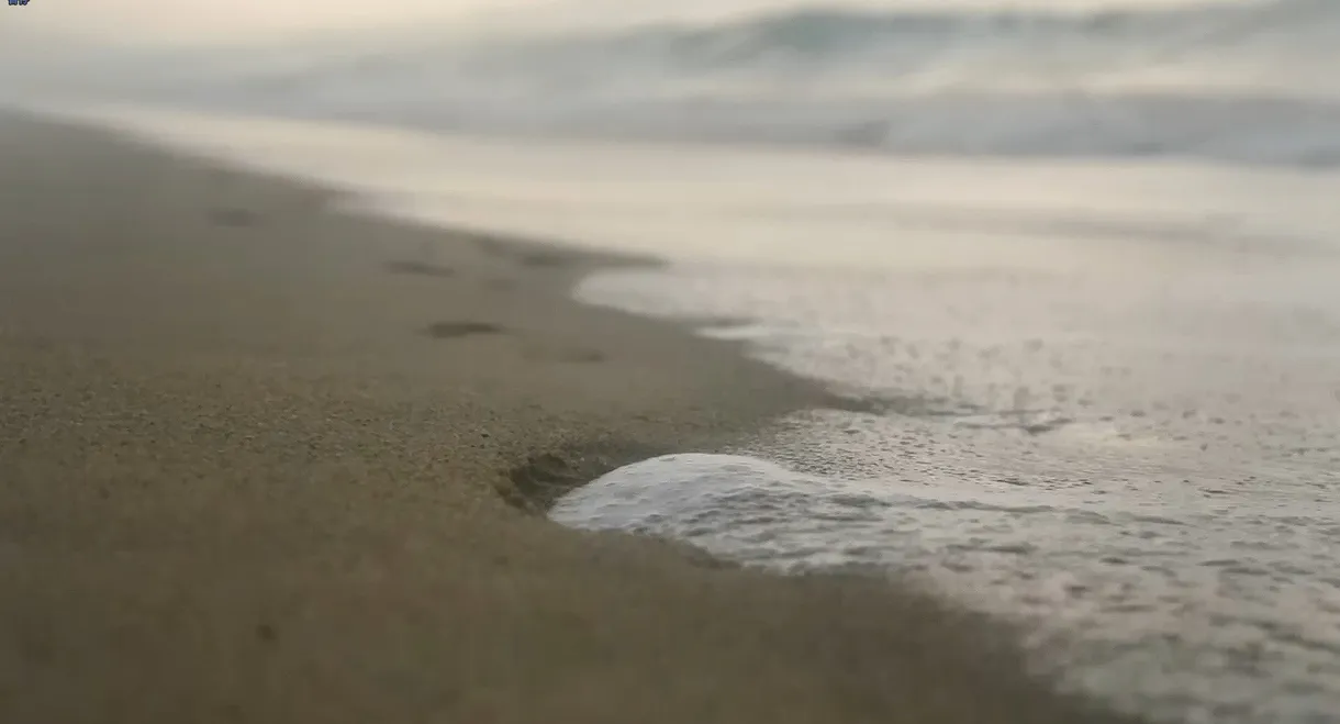 The Promised Land of Love