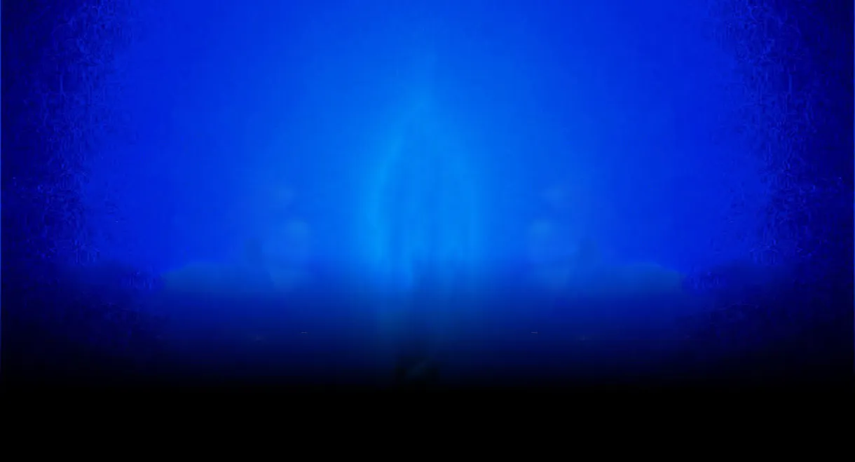 The COVID Experience